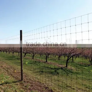 Plastic Mesh Deer Fencing thumbnail-3