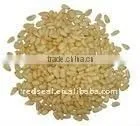 Chinese Pine Nuts Kernels or Pignoli thumbnail-1
