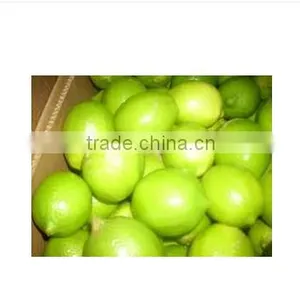Big Size Fresh Lemon, Fresh Lime thumbnail-1