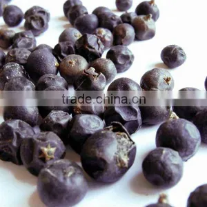 Pure Juniper Berry Oil thumbnail-1