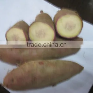 2015 Sunny Orchard Fresh Sweet Potato thumbnail-6