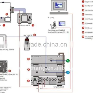 Large Chamber Incubation thumbnail-1