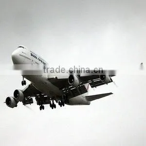 Air Transport From Hongkong to Bulgaria-------jessie thumbnail-1