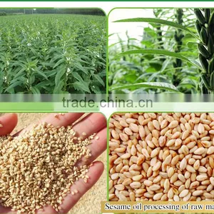 China Toasted Sesame Oil thumbnail-3