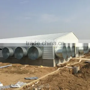 Professional Broiler Chicken House Building thumbnail-3