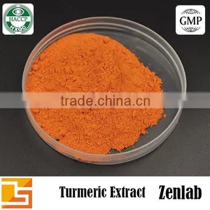 Turmeric Extract Drum Packing Pure Curcumin thumbnail-4
