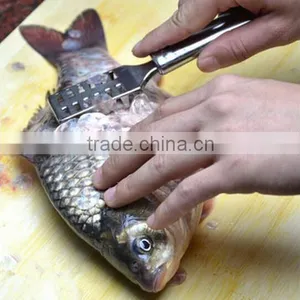 Stainless Steel Fish Scales Scraper / Plane Fish Scales / Scraping Scales Fish thumbnail-2
