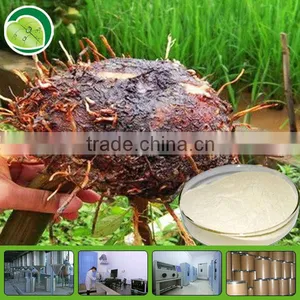 Konjac Powder thumbnail-1