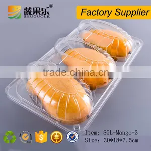 Transparent PET Plastic 3 Mango Box and Tray thumbnail-1