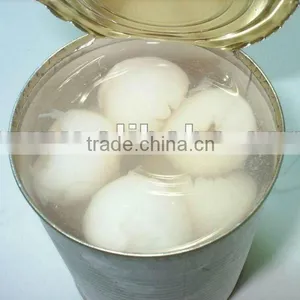 Canned Lychee in Syrup thumbnail-1