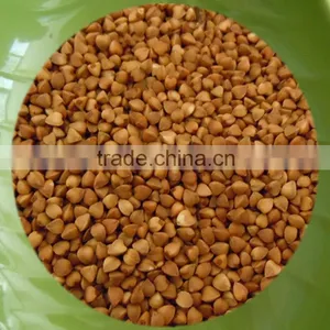 Rosted Buckwheat Kernel,Roasting Buckwheat,Buckwheat thumbnail-1
