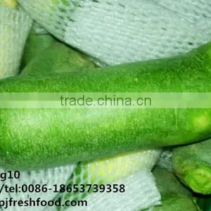 2016 White Green Fresh Radish thumbnail-3