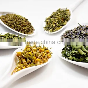 Organic Chamomile thumbnail-1