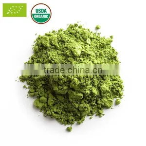EU & USDA Organic Matcha Wholesale thumbnail-1