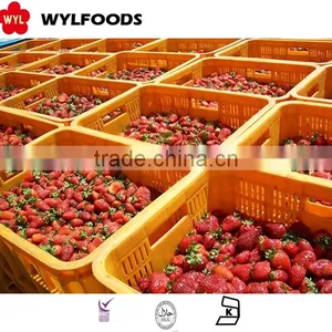 HONEY 15-25mm China High Quality Price for Frozen Strawberry thumbnail-1