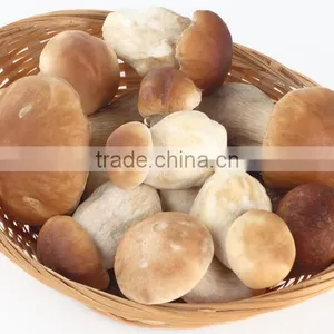 Commerical Mushroom Floss Machine/mushroom Floss Making Machine/fungus Floss Making Machine thumbnail-4