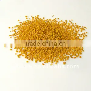 Camellia Bee Pollen Hot Sale in Africa thumbnail-1