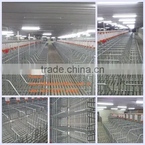 Adjustable Pvc Sow Farrowing Crate thumbnail-4