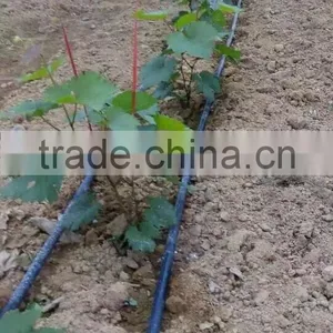 Grape Drip Irrigation for Orchard thumbnail-5
