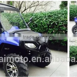 250cc Automatic 2WD Transmission go Kart/ Sport UTV (TKG200-A2) thumbnail-5