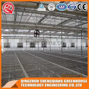 Factory Outlet Wide Multi Span Glass Agricultural Greenhouses thumbnail-6
