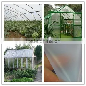 Hot Promotion Transparent 200 Micron Plastic Greenhouse Film Blowing thumbnail-2