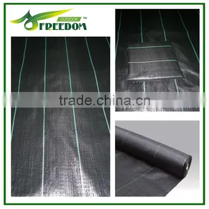 Agricultural Greenhouse Black PP Plastic Ground Cover thumbnail-5