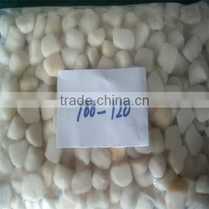 Best Quality Sea Bay Scallops Seafood (100-120) thumbnail-1