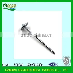 BWG9*2.5" Roofing Nails thumbnail-3