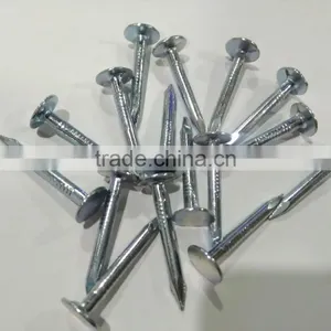 Roofing Nails / Clout Nails thumbnail-3
