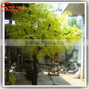 Made in China Wholesale Artificial Yellow Gingko Tree, Green Leaf Tree/plant thumbnail-3