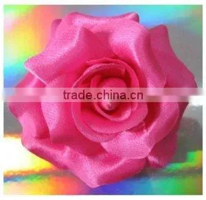 ROSE thumbnail-1