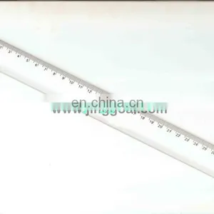 30 cm Ruler Printable thumbnail-6