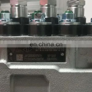Weifu Pump E6050 50856960D 1111010-675-0000TW EBHF6PH 6P1259 for Engine CA6DL2-35 thumbnail-1