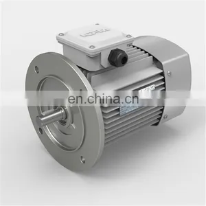 YE2 Series Electric Motor High Speed Three Phase Induction Motor for Industry Machinery Asynchronous Motor thumbnail-3