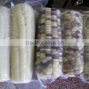 USA Fresh Yellow Sweet Corn Vietnam With Best Price thumbnail-3