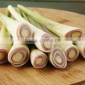 Fresh Lemongrass/ Cutting/ Minced / Powder thumbnail-1