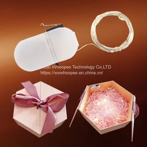 Suprise Gift Box Accesories Lighted Fairy Lights With Hook or Sticker thumbnail-1