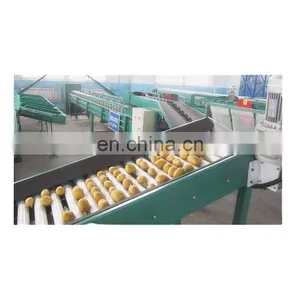 Potato Washing/drying/sorting/grading Machine thumbnail-1