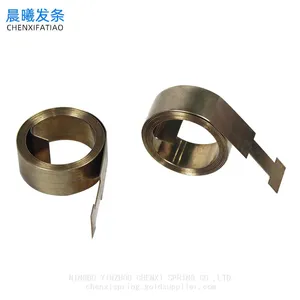 Stainless Steel Constant Force Spring for Boosters Fittings thumbnail-1