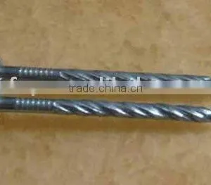 Galvanized Pallet Nails 004 Factory thumbnail-1