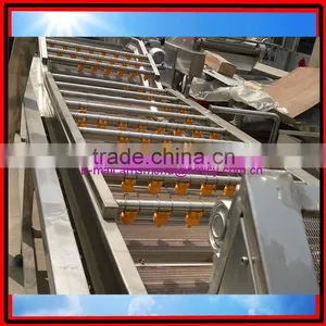 Blueberry/Mushroom/Agaric/Tremella/Date/Potherb Washing and Cleaning Machine thumbnail-5