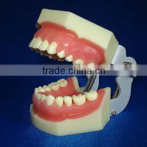 Dental Education Treating Periodontal Diseases for Teaching thumbnail-1