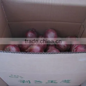 2014 Fresh Red Onion China Wholesale thumbnail-3
