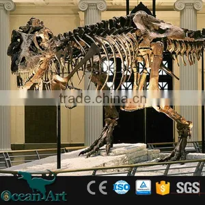 BY-DY-041406 Natural Science and History Museum Dinosaur Skeleton Model thumbnail-5