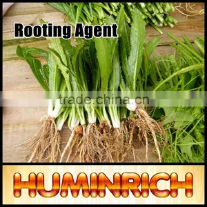 Huminrich Shenyang SH9011-7 Sprinkler Fertilizer 55% Content Super Potassium F Humnat thumbnail-1