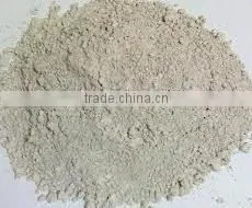 DIATOMACEOUS EARTH thumbnail-1