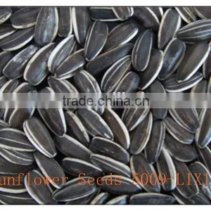 Wholesale Sunflower Seeds 5009 for Human Consumption thumbnail-5