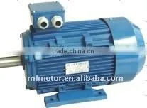 6 - Pole Y Series Electric Motor thumbnail-1
