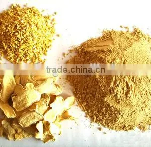 Factory Supply Best Ginger Root Powder thumbnail-1